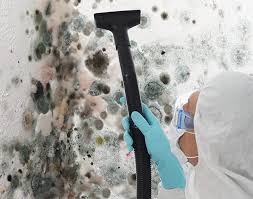 Best Biohazard Mold Removal  in Coats Bend, AL